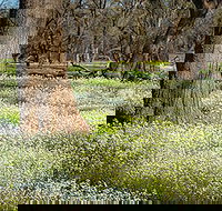 Leaghur State Park - Maitland Accommodation