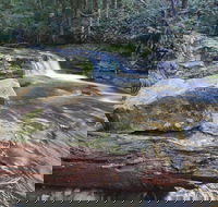 Liffey Falls Reserve - Maitland Accommodation