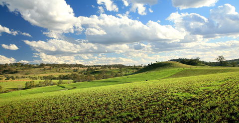 Lions Park, Hodgson Vale - Maitland Accommodation 0