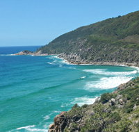 Little Bay to Smoky Cape - Maitland Accommodation