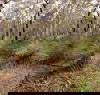 Livingstone National Park - Maitland Accommodation