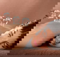 Lotus Blossom - Maitland Accommodation