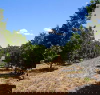 MacNuts WA Shop and Factory - Maitland Accommodation