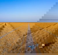 Matilda Way - Maitland Accommodation