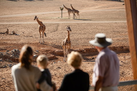 Monarto Safari Park - Maitland Accommodation 0