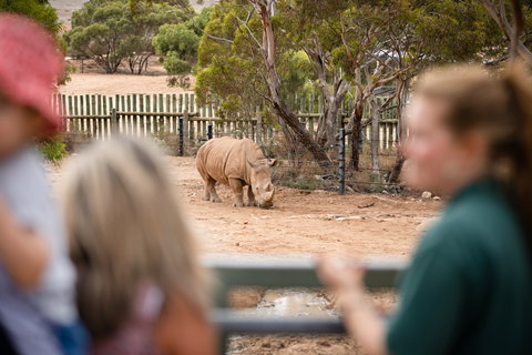 Monarto Safari Park - Maitland Accommodation 1