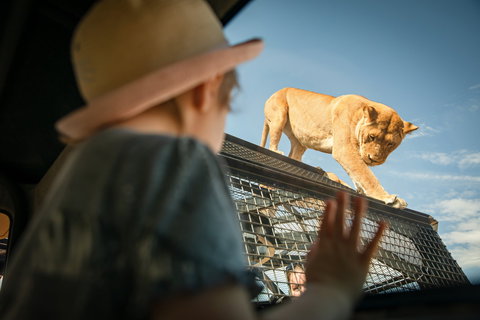 Monarto Safari Park - Maitland Accommodation 2