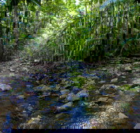 Nambucca Valley - Maitland Accommodation