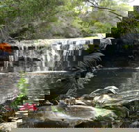 Nellies Glen Picnic Area - Maitland Accommodation