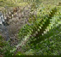 Nightcap National Park - Maitland Accommodation