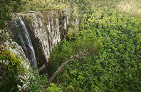 Nightcap National Park - Maitland Accommodation 0