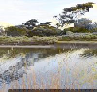 Onkaparinga River Recreation Park - Maitland Accommodation