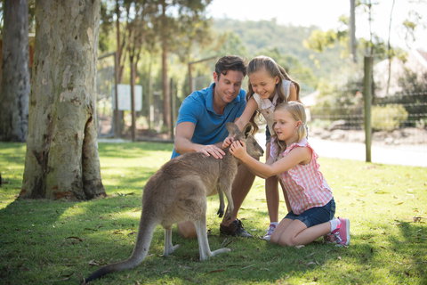 Paradise Country - Maitland Accommodation 2