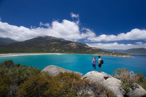 Pillar Point Lookout - Maitland Accommodation 0