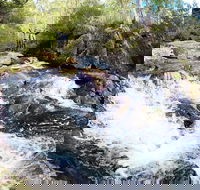 Polblue Falls - Maitland Accommodation