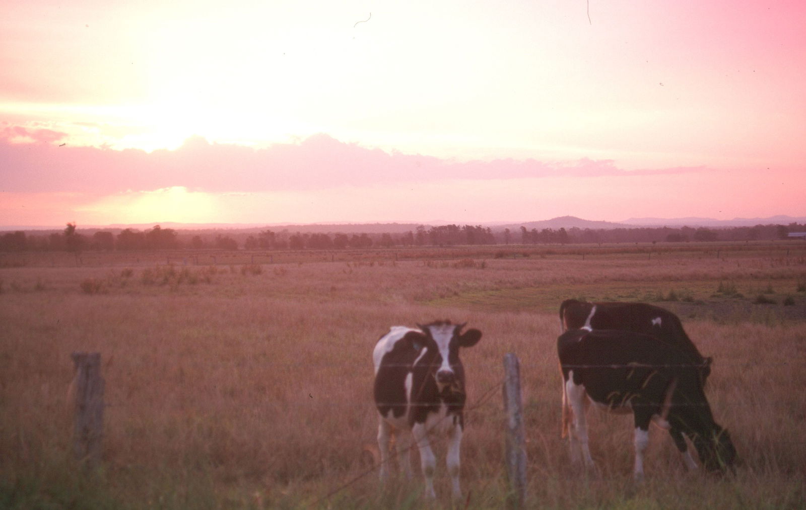 Pyree NSW Maitland Accommodation