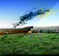 Ravensbourne - Maitland Accommodation