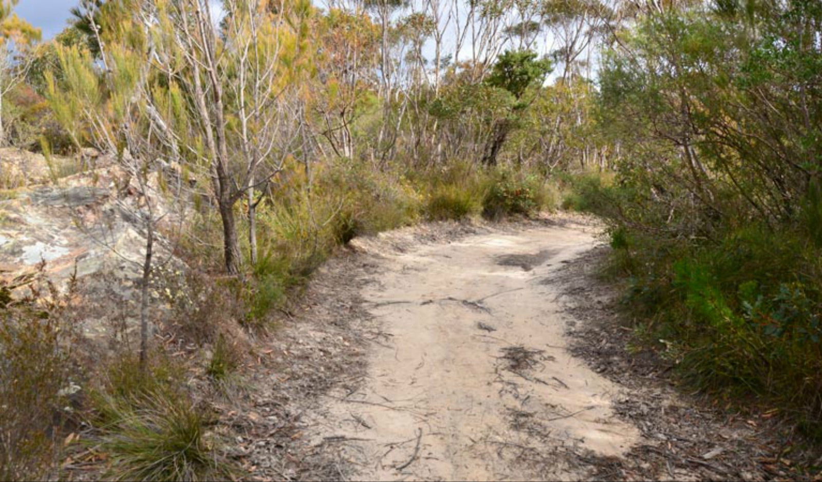 Browns Mountain NSW Maitland Accommodation