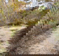 Red Rocks trig walking track - Maitland Accommodation