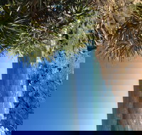 Richmond Valley Cultural Heritage Self Drive Tour - Maitland Accommodation