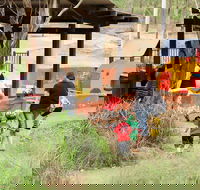 Rouse Hill picnic area and playground - Maitland Accommodation