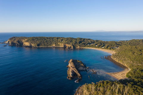 Snorkelling Guerilla Bay - Maitland Accommodation 0
