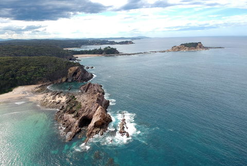 Snorkelling Guerilla Bay - Maitland Accommodation 1