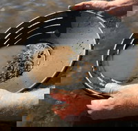 Tuena Panning for Gold