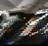 UNE Natural History Museum - Maitland Accommodation