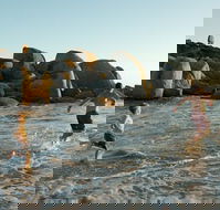 Venus Bay - Maitland Accommodation