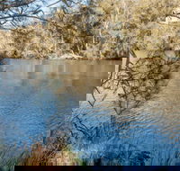 Wandandian Creek picnic area - Maitland Accommodation