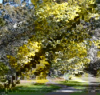 Wattle Park - Maitland Accommodation