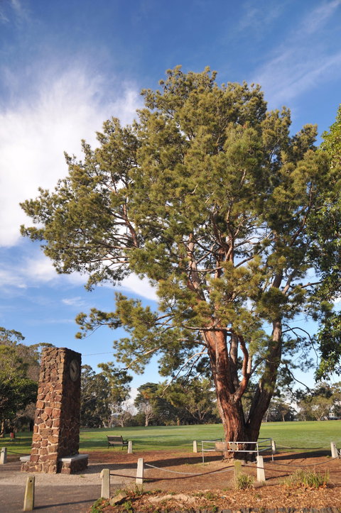 Wattle Park - Maitland Accommodation 2