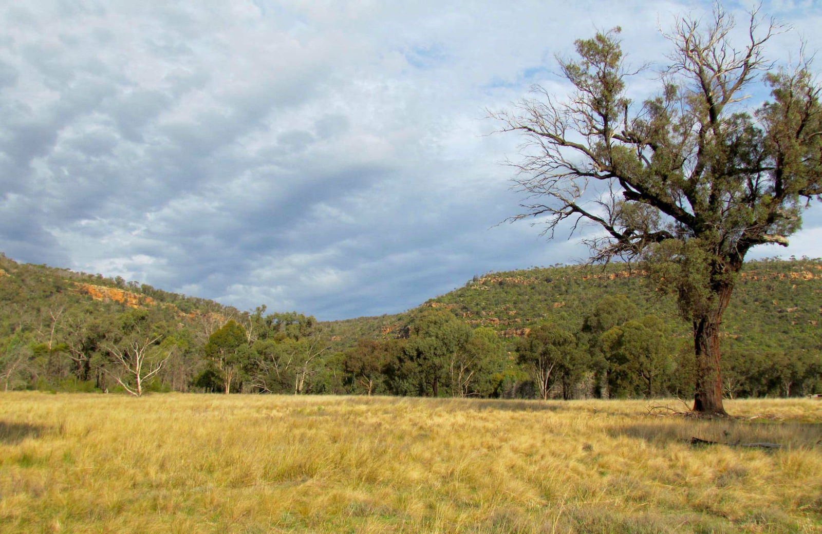 Bimbi NSW Maitland Accommodation