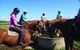 Western Plains Riding Centre - Open - thumb 0
