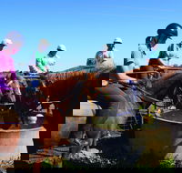 Western Plains Riding Centre - Open - Maitland Accommodation