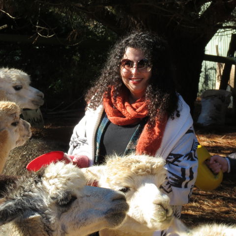 Alpaca Farm Experience At Crookwell - Maitland Accommodation 1