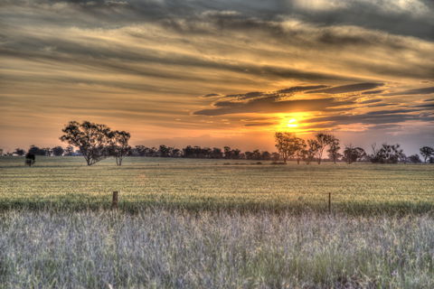 Ardlethan - Maitland Accommodation 2