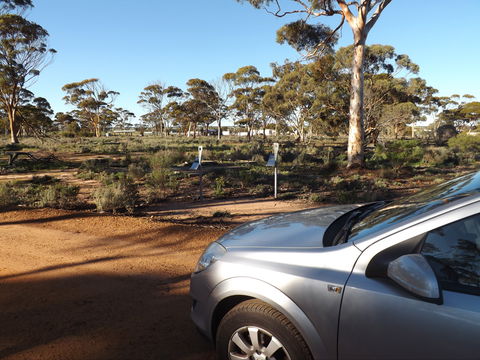 Army General Hospital Site - Maitland Accommodation 0