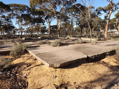 Army General Hospital Site - Maitland Accommodation 2