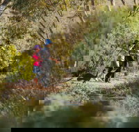 Australian Arid Lands Botanic Garden - Maitland Accommodation