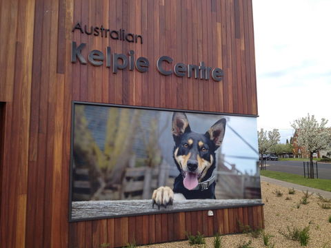 Australian Kelpie Centre - Maitland Accommodation 0
