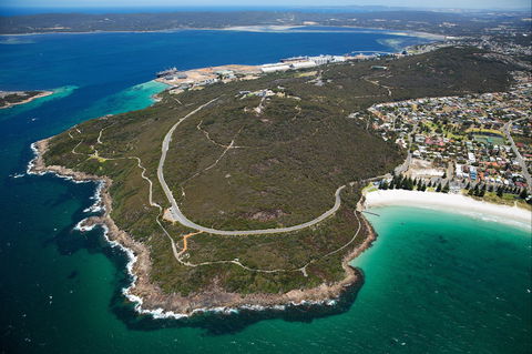 Avenue Of Honour - Maitland Accommodation 0