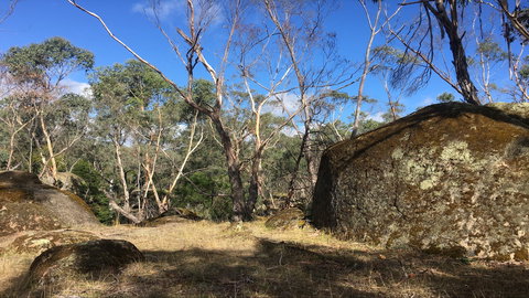 Bailey's Rocks - Dergholm State Park - Maitland Accommodation 0