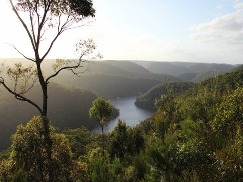 Berowra Valley National Park - Maitland Accommodation 0