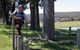 Bibbulmun Track, Kalamunda To Albany - thumb 0