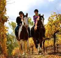 Billabong Ranch Adventure Park - Maitland Accommodation