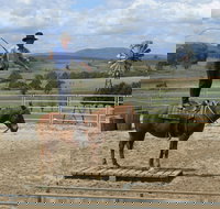 Boggy Creek Show - Maitland Accommodation