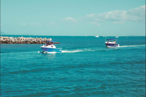 Bowen Creek Fishing - Maitland Accommodation 0