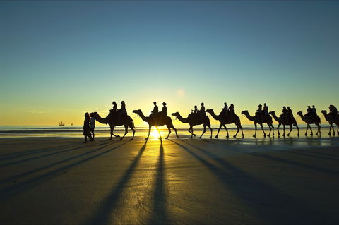 Cable Beach - Maitland Accommodation 0